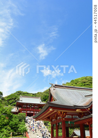 鎌倉・鶴岡八幡宮 44517008