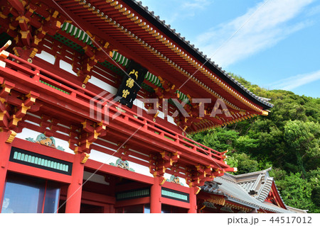 鎌倉・鶴岡八幡宮 44517012