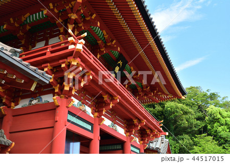 鎌倉・鶴岡八幡宮 44517015