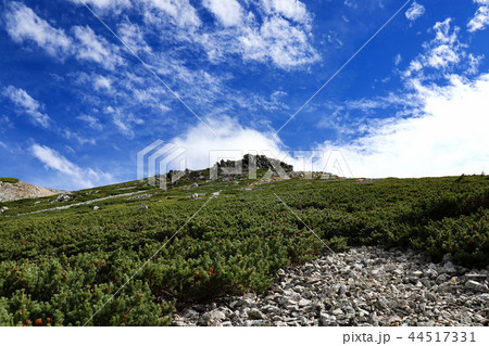 雄山 雄山 44517331