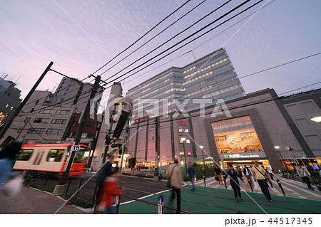 日本の東京都市景観 大塚駅や都電などを望む 日本の東京都市景観 大塚駅や都電などを望む 44517345