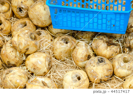 Tubers of decorative flowers at flower market 44517417