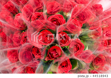 結婚 ウエディング 祝儀 44518943