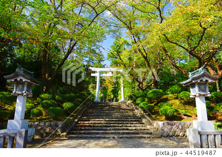 弥彦神社　弥彦村　新潟　日本 44519487