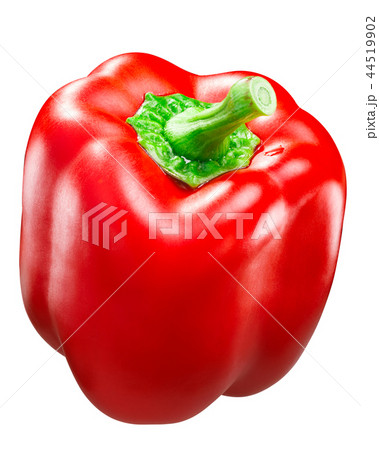 Red bell pepper c. annuum, paths Red bell pepper c. annuum, paths 44519902