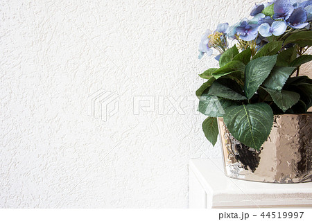 blue Hydrangea flowers in a pot  44519997