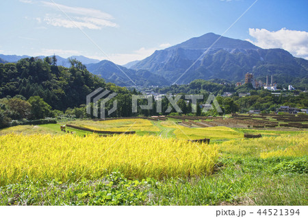 稲刈りのころの寺坂棚田 稲刈りのころの寺坂棚田 44521394