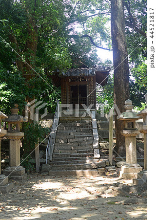 猪名野神社摂社愛宕神社-2 猪名野神社摂社愛宕神社-2 44521817