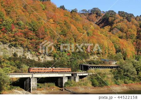 紅葉の只見線 44522158