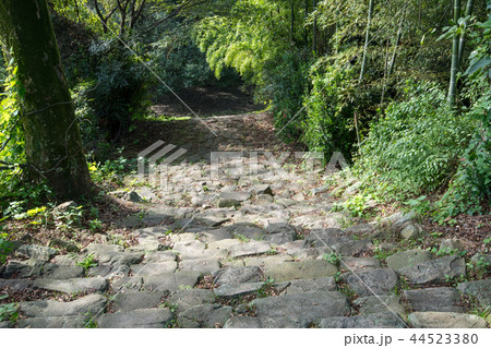 金山城跡 新田神社 参道石畳 太田市 金山城跡 新田神社 参道石畳 太田市 44523380