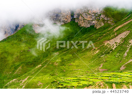 Green terraced fields in Nar village, Nepal 44523740