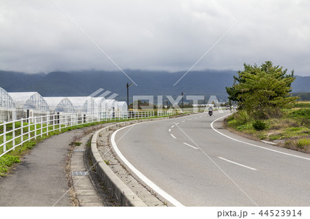 長野県　茅野市　メルヘン街道 44523914