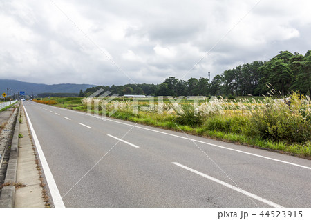 長野県　茅野市　メルヘン街道 44523915