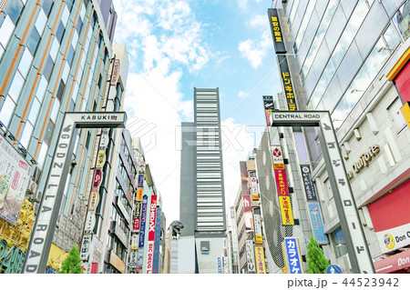 新宿歌舞伎町　セントラルロード 44523942