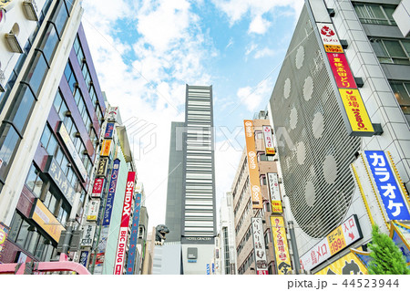 新宿歌舞伎町　セントラルロード 44523944