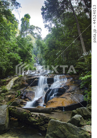 beautiful Waterfall located in Malaysia beautiful Waterfall located in Malaysia 44524013