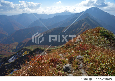 越後駒ケ岳諏訪平から檜廊下、中ノ岳へ続く尾根を見る 越後駒ケ岳諏訪平から檜廊下、中ノ岳へ続く尾根を見る 44524089