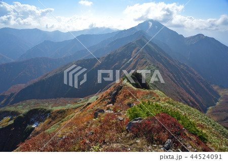 越後駒ケ岳諏訪平付近から見た中ノ岳への尾根 44524091