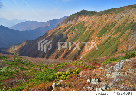 越後駒ケ岳天狗平から見た北沢源流部とグシガハナ 44524093