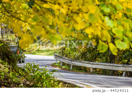 長野県 茅野市 蓼科高原 メルヘン街道 長野県 茅野市 蓼科高原 メルヘン街道 44524311