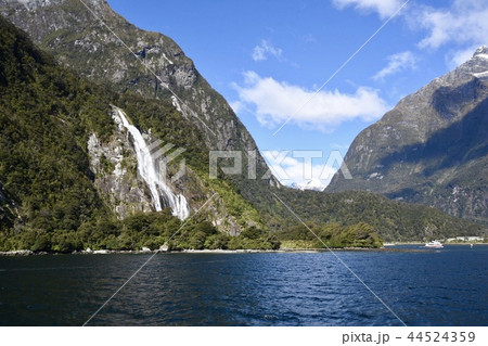 フィヨルド国立公園・ミルフォードサウンド フィヨルド国立公園・ミルフォードサウンド 44524359