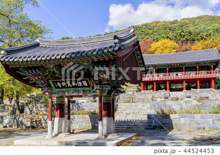 大雄殿 蔓延山 季節 44524453