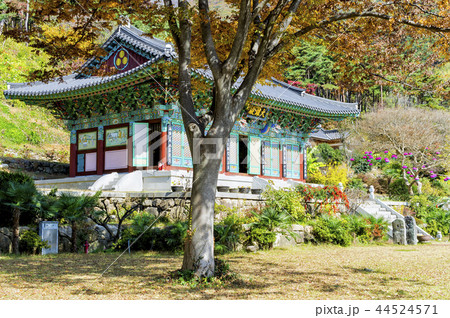 大雄殿 蔓延山 季節 44524571