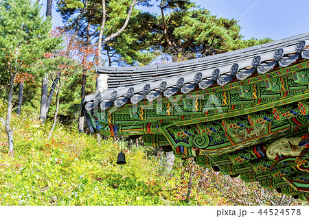 大雄殿 蔓延山 季節 44524578