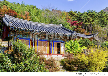 大雄殿 蔓延山 季節 44524585