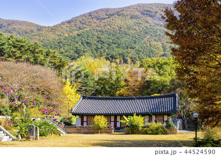 大雄殿 蔓延山 季節 44524590