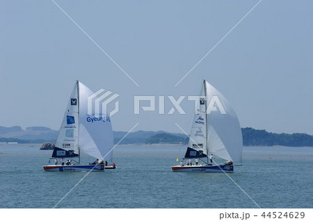 風景 帆 ボート 44524629
