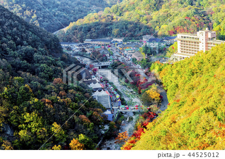 池 紅葉 ベクアムサン 44525012