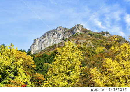 池 紅葉 ベクアムサン 44525015