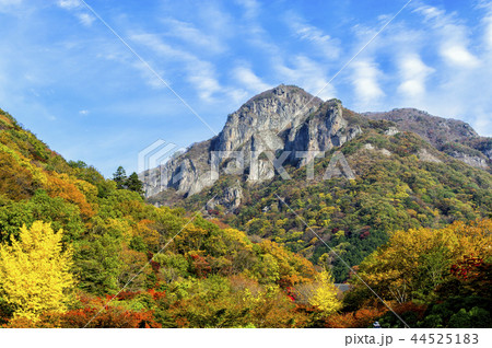 池 紅葉 ベクアムサン 44525183