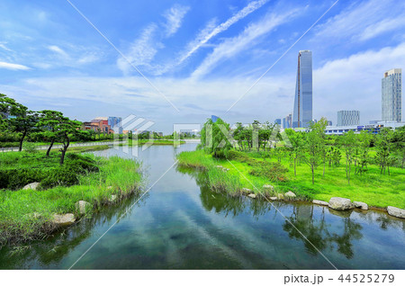 瓦屋 韓屋 ビル 44525279