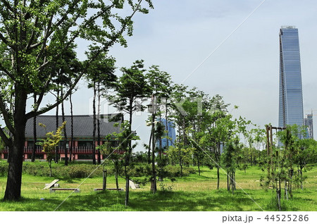 瓦屋 韓屋 ビル 44525286