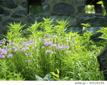 南山 導電性 漢江 44526294
