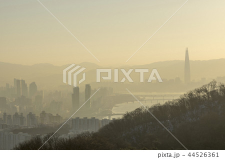 南山 新年 日の出 44526361