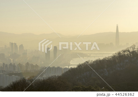 南山 新年 日の出 44526362