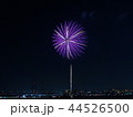 花火 44526500