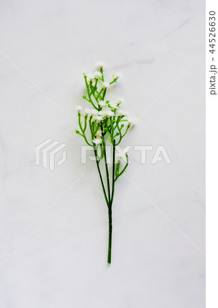 Artificial plant decoration on white background Artificial plant decoration on white background 44526630