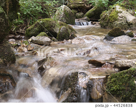 木曽川源流域（笹川）／長野県木曽郡木祖村／夏 44526838