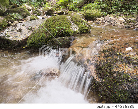 木曽川源流域（笹川）／長野県木曽郡木祖村／夏 44526839