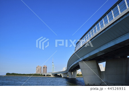 福岡 都市風景 福岡タワー 福岡 都市風景 福岡タワー 44526931