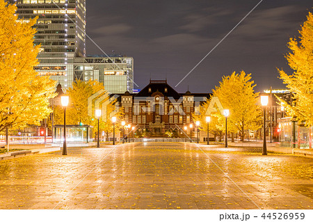 東京駅前の銀杏並木・黄葉 44526959