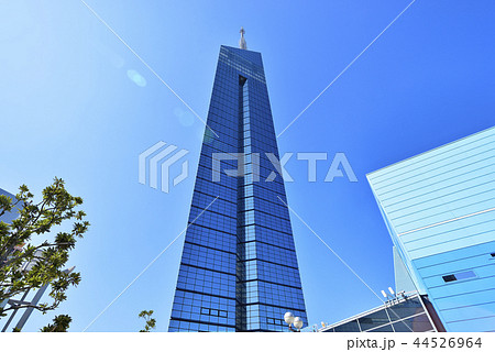 福岡　都市風景　福岡タワー 44526964
