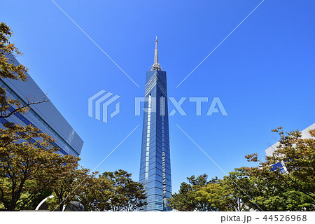 福岡 都市風景 福岡タワー 福岡 都市風景 福岡タワー 44526968