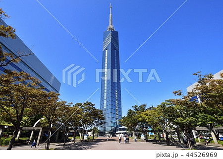 福岡　都市風景　福岡タワー 44526969