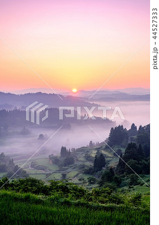 星峠の棚田 (朝景) 星峠の棚田 (朝景) 44527333