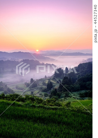 星峠の棚田 (朝景) 星峠の棚田 (朝景) 44527340